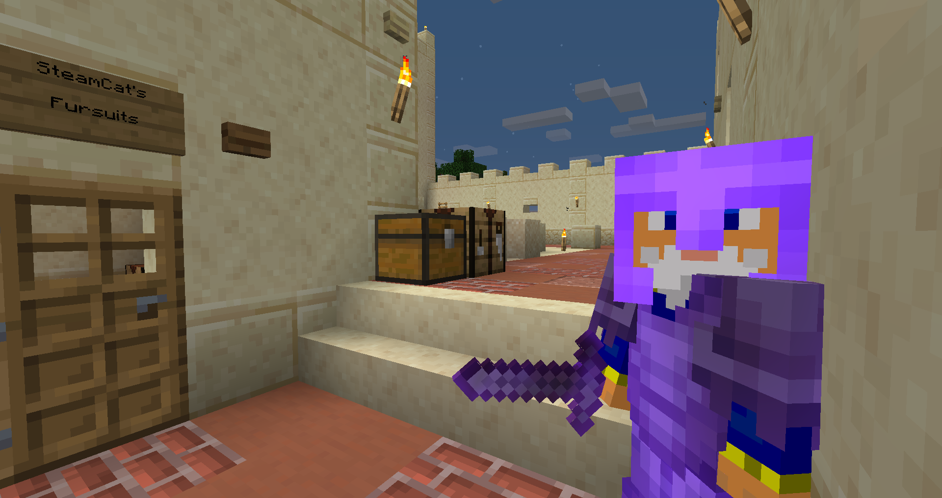 SteamCat's secret fursuit room