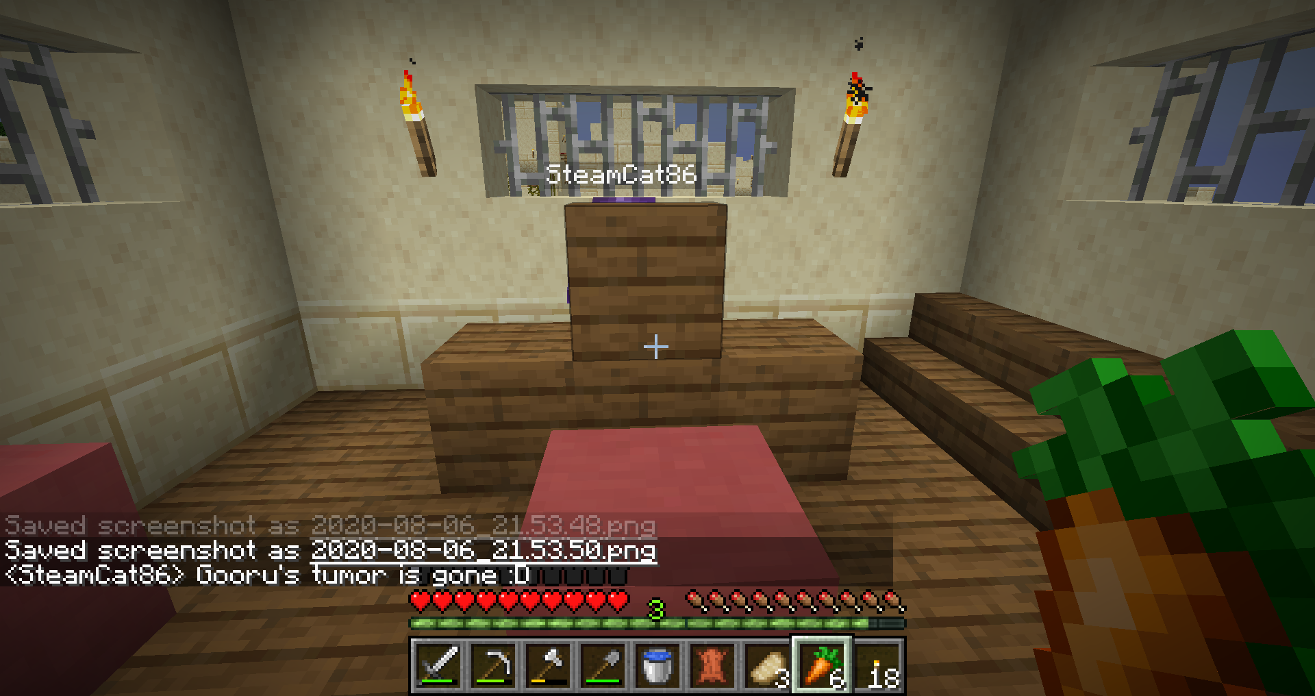 SteamCat and the no-more tumor